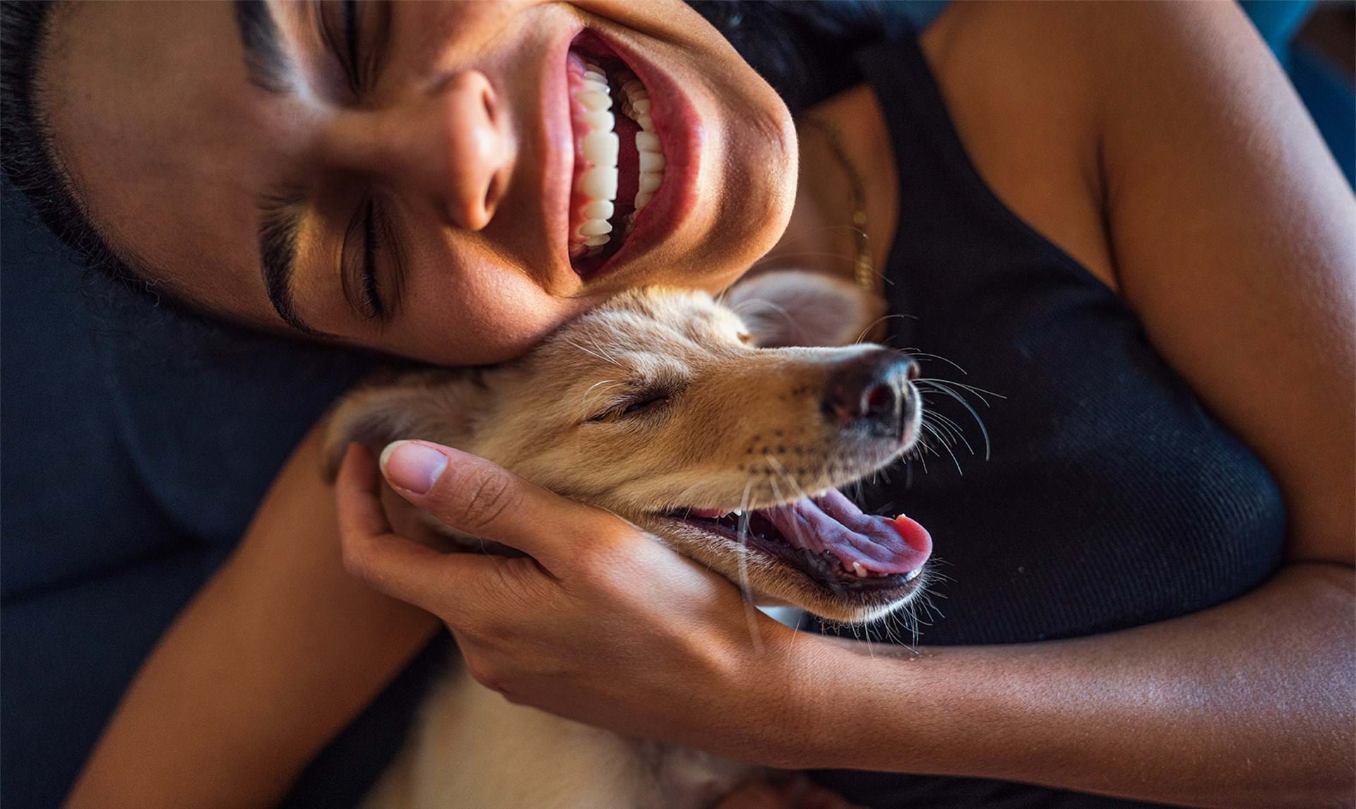 Ny forskning: Her er beviset på, din hund elsker dig - ALT.dk
