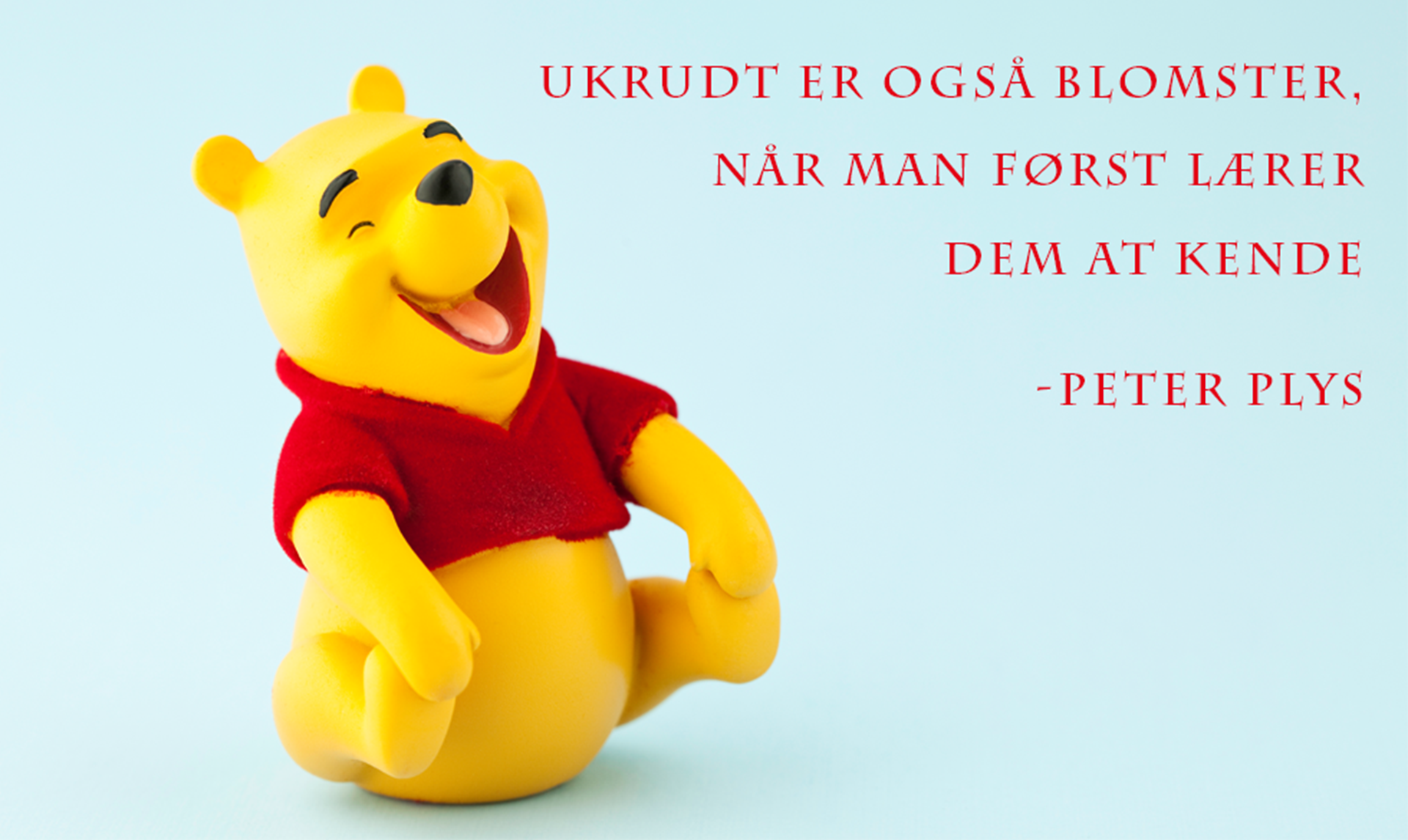 Peter Plys citater: skønne citater dem her - ALT.dk