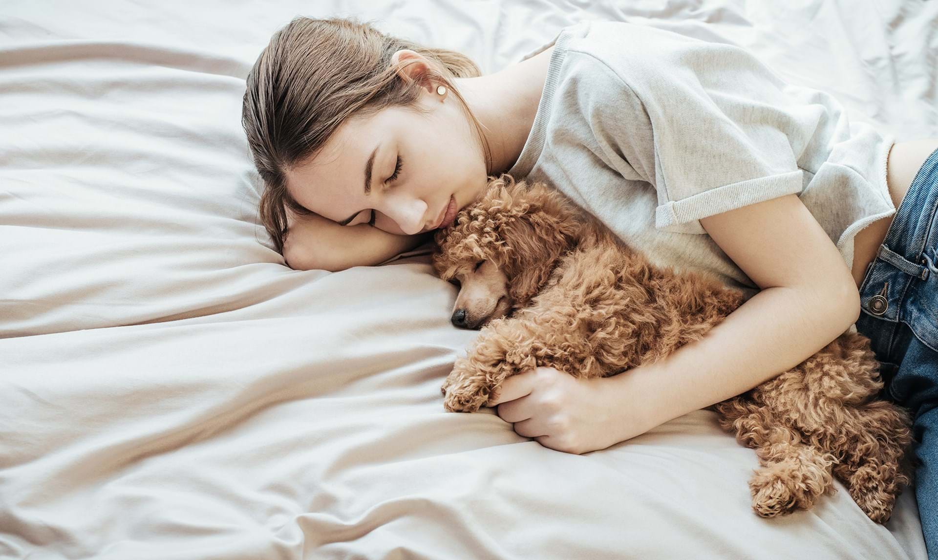 Hunde er sengepartnere kærester, forskning - ALT.dk